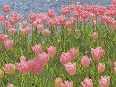 다시 피어나는 봄은