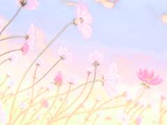 보름달을 닮은 꽃 #프롤로그