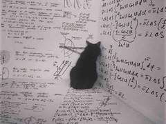 🗝 악몽과 꿈의 환상