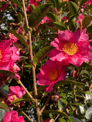 감성 듬뿍 어디가서 보여주면 감성충 소리듣는