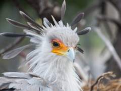 타나이즈 생각하면서 쓴 수인au썰