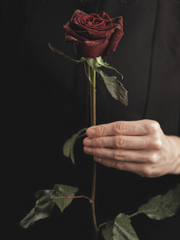 히나른/ 미연시 악역이 살아남는 법