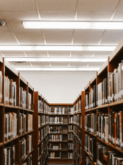 어느 날 일어나 보니 F3에게 플러팅 당하고 있었습니다