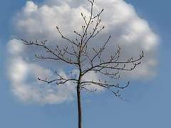 기억의 현상학/이도은