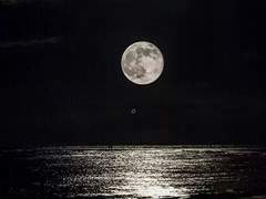 [국민] 로망 아나키스트 .17