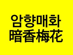 [암향매화暗香梅花]