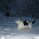 김노멀의 공장 •••