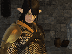 이슈가르드 대표 사절단