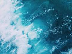 소요하는 바다가 날아든 흑색을 바라보아