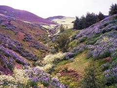 물결에 몸을 맡기며.