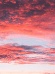 과대망상 지우개 에세이