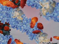 잠이 들 듯, 빠져들다