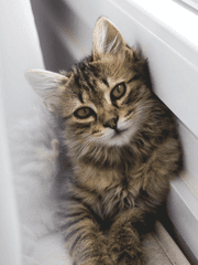 이것만 있으면 돼