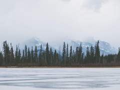 Dear My beloved Familiar