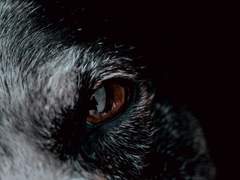 Fai come cazzo vuoi!