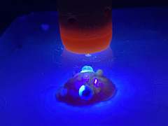 무언가 창조하는중