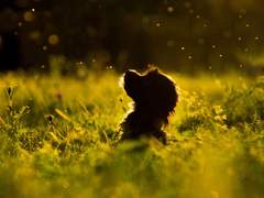 [명헌태섭] 4동 7호의 사내 2