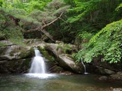 국립공원과 국립공원의 해제