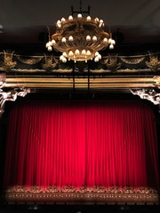 배우 못하면 죽는 병 걸림