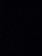 내 일상이 항상 행복이라면