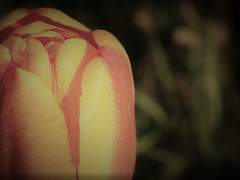 [별고커]러닝후기 및 관싹후기