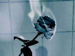 오셀로 (Othello) #5