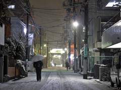 [현철명헌] 맹목의 기록