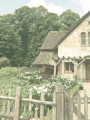 𝐄𝐮𝐠𝐞𝐧𝐞 𝐒𝐤𝐨𝐥𝐥 𝐂𝐥𝐮𝐬𝐭