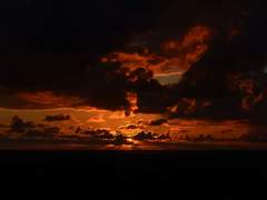 [자크콜사] - 㫚