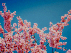 이제 곧 밤이 끝날 시간이네