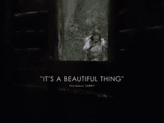 일상이라는 마법