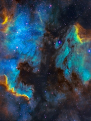 여기서 드림도 해요?