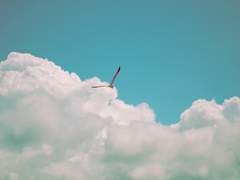 베아트릭스 T. 카이저 :: 옵타티오 :: 2학년 :: XX