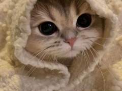 엔시티 만능캐 여주.0