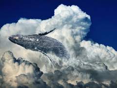 어느날 내 앞에 정령이 나타났다.