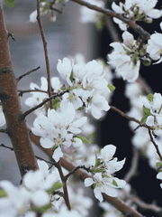 도리벤 아이돌 AU 캐해