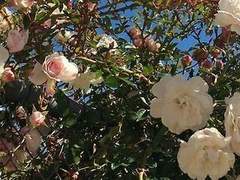 기억나? 우리 어릴적. 그때 부터였어.