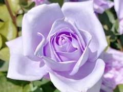 어쩌다 마주친 그대 (下)