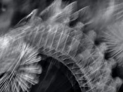 진리란 무엇인가.