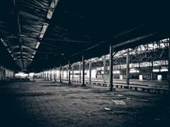 [호열백호] 장래희망