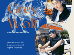 5. 회색 늑대의 유혹