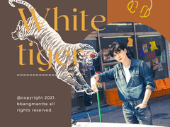 6. 백호와 뱁새의 여행 로그