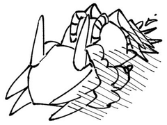 가장 결혼하기 싫은 마왕성 캐릭터 투표 결과