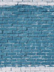 인생과 선인장의 연관성