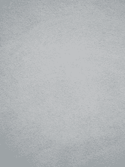 토우지 네임리스 드림