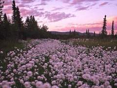 역시 토끼는 뭐가 있나봐