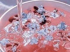 아토릿카 커미션 정리본