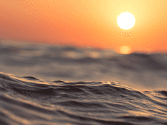 [카와시마 이스미/남성/전투] - 성장 후