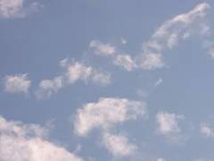 원필이가 우울해질 때는 말야..