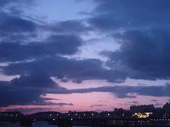 최악의 발렌타인데이(1)